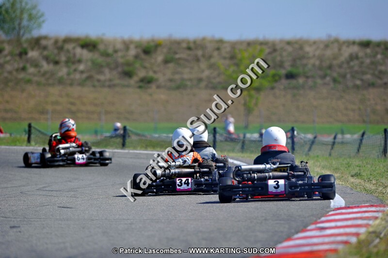 DSC_ (1305).jpg
